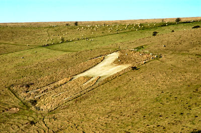 The Alton barnes White Horse, seen from Walker's Hill.