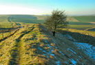 Wansdyke visit 2006