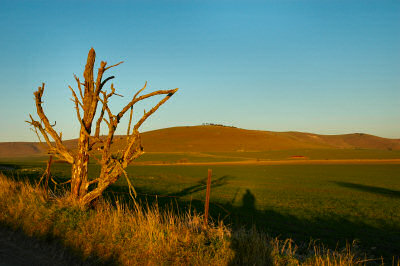 Looking back to the uplands on the way to Stanton St Bernard.