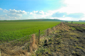 Roundway Down: Looks like a peaceful field, but was the scene of a bloody battle in 1643.