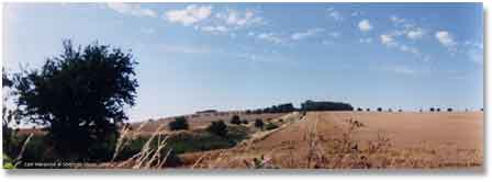 Fig 4: East Wansdyke near Bishops Cannings Down, 1994. (click the image to enlarge)