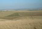 This is the Wiltshire Plains..