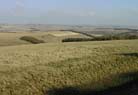 On top of the Wansdyke.