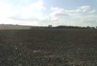 The Flint Field.