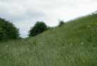 In the ditch, looking south.