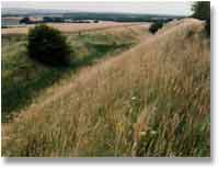 The big ditch of East Wansdyke at Milk Hill, looking east