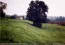 Probable remains of a stockade near Winsley, Wiltshire