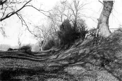 Wat's Dyke, near Offa Terrace, Wrexham: "evidence of a good, old-fashioned, ruling family split over long-disputed border territory?"