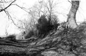 Wat's Dyke, near Offa Terrace, near Wrexham.