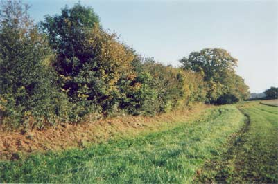 Right: Offa's Dyke near Bersham, Wrexham. (Keith Nurse, October 2003).