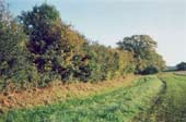 Offa's Dyke near Bersham, Wrexham.