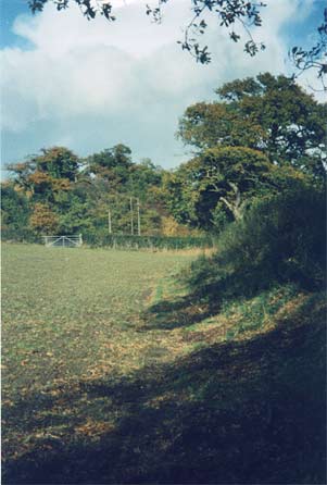 Right: Offa's Dyke near Bersham, Wrexham. (Keith Nurse, October 2003).