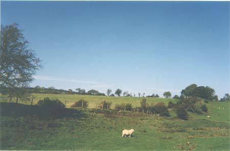 Offa's Dyke on high ground to the west of the border town of Oswestry, Shropshire. (Keith Nurse, October 2003).