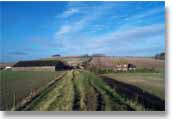 East Wansdyke at Shepherds' Shore