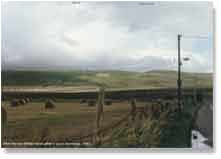 Milk Hill after a good downpour - Alton Barnes White Horse, 1992