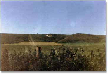 Alton Barnes White Horse from the car, 1994