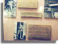 The Archaeologists - Wansdyke cabinet, Devizes Museum
