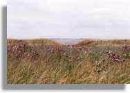 a 'shore' or gate, 1996